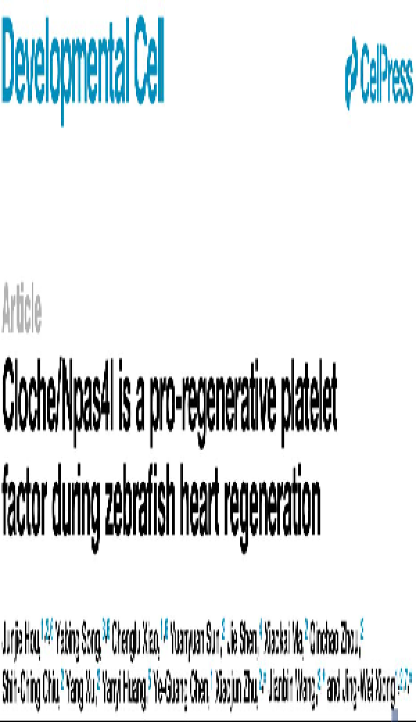 d6dc9f00b9cd4904847f07763b2b784f.png