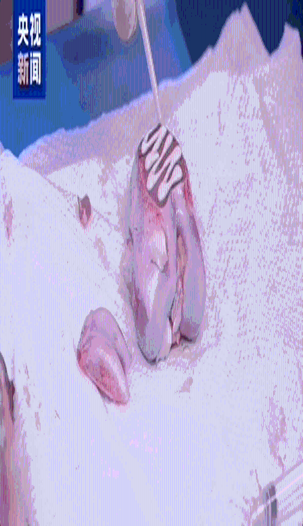 640.gif