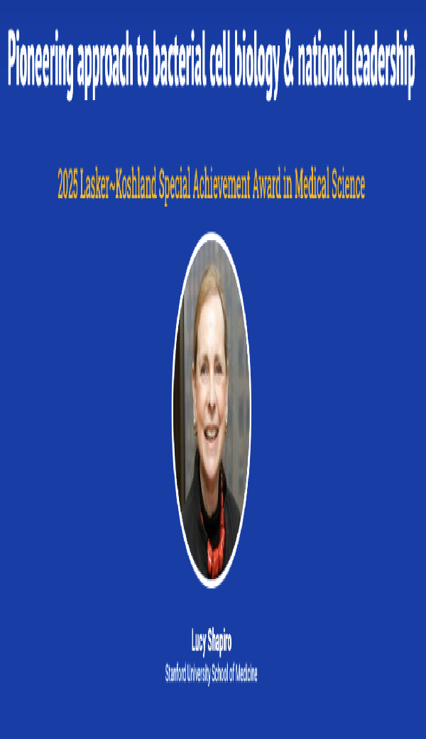 be900732001d4be2a8ac8f823a3c6600.png