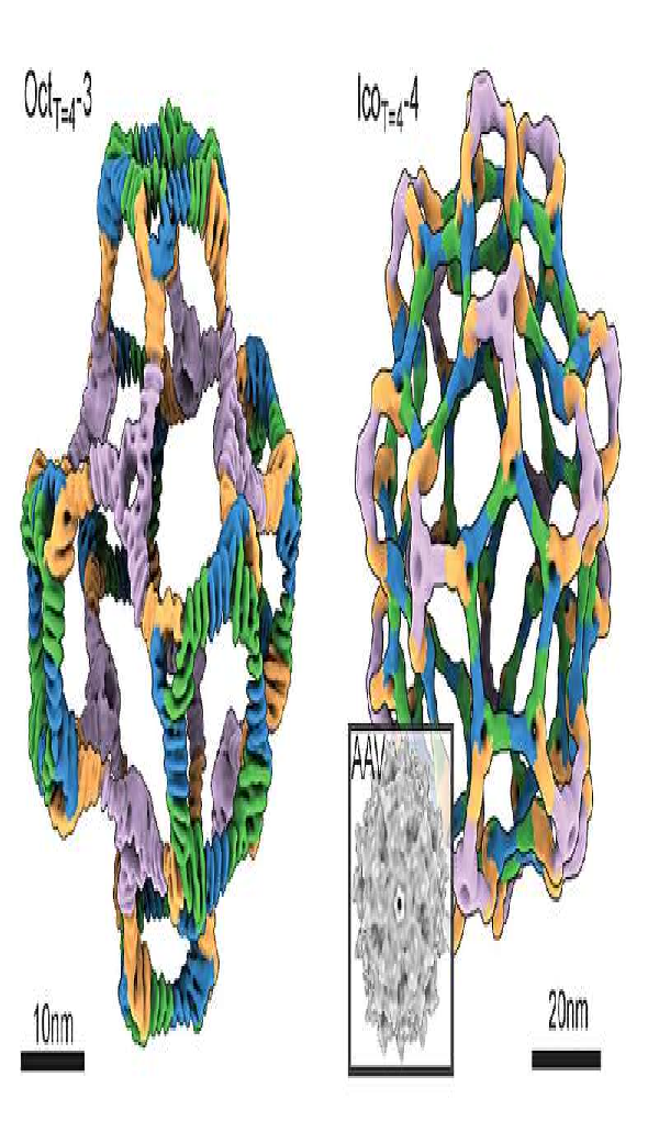 1-2412311J03GK.png