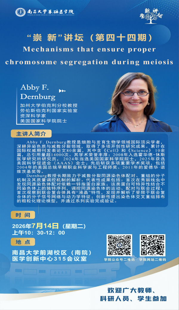 3b966b269a874f829c73ad5ac68dff80.png